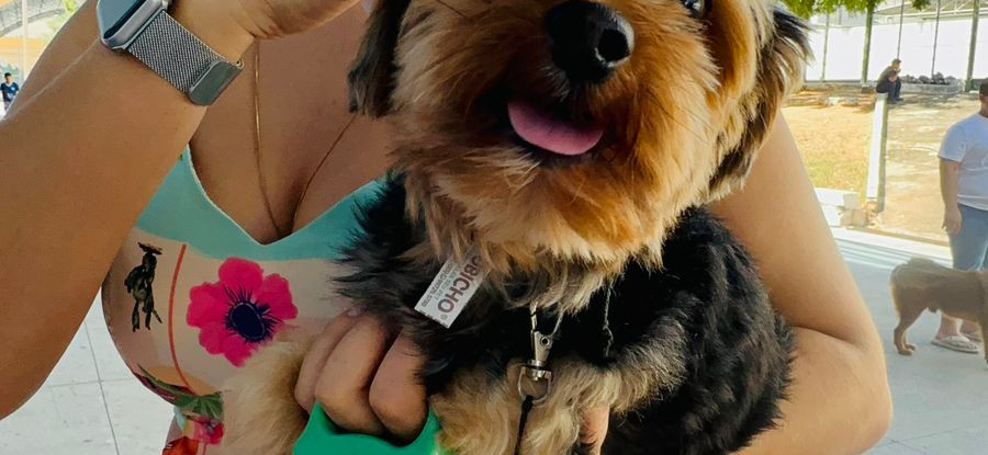 Pet Ceará Móvel chega à Serra da Ibiapaba; agendamento já está disponível