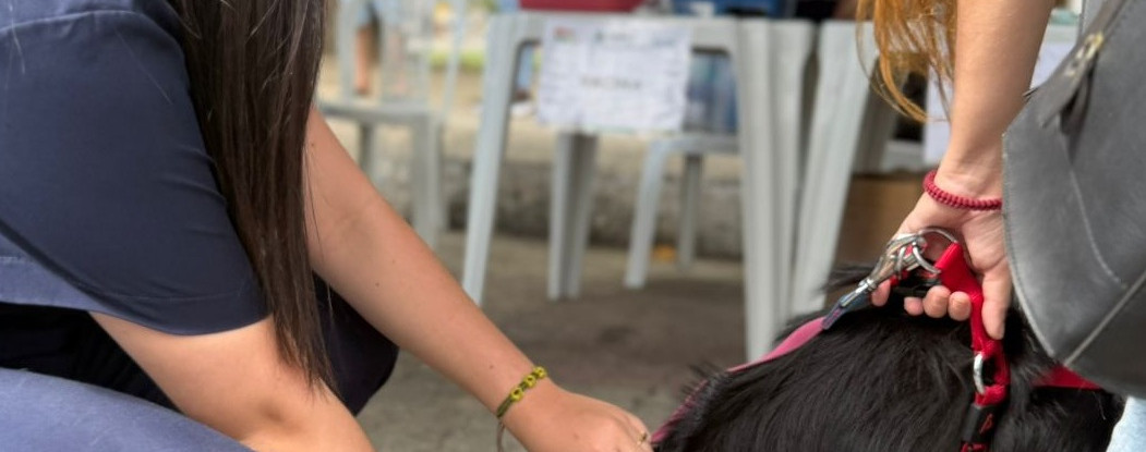 Giro Pet Ceará leva encoleiramento antiparasitário e vacinação antirrábica para região do Sertão de Sobral