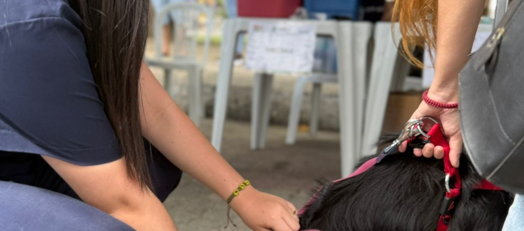 Giro Pet Ceará leva encoleiramento antiparasitário e vacinação antirrábica para região do Sertão de Sobral