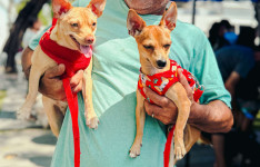 Giro Pet Ceará oferece serviços gratuitos para animais na Cidade 2000, em Fortaleza