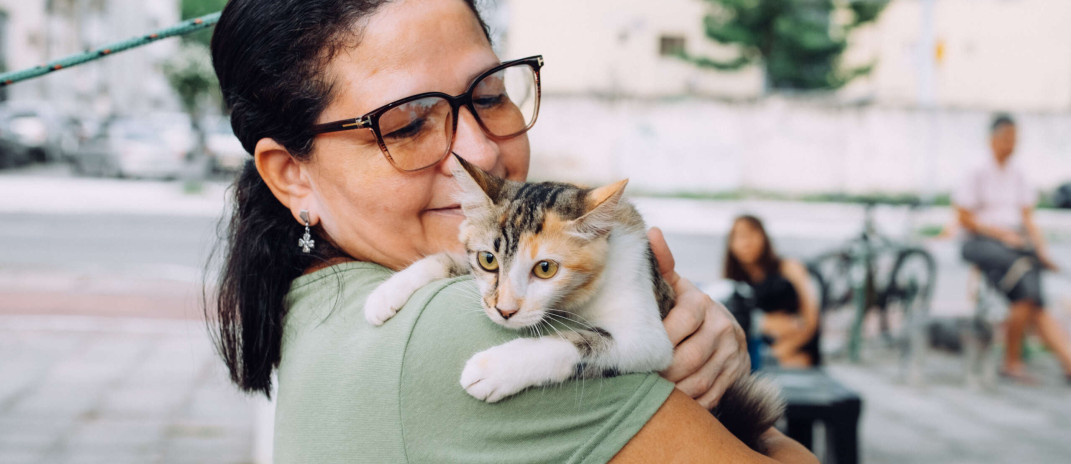 Pet Ceará Móvel oferece castração gratuita no bairro Luciano Cavalcante entre 24 e 28 de fevereiro