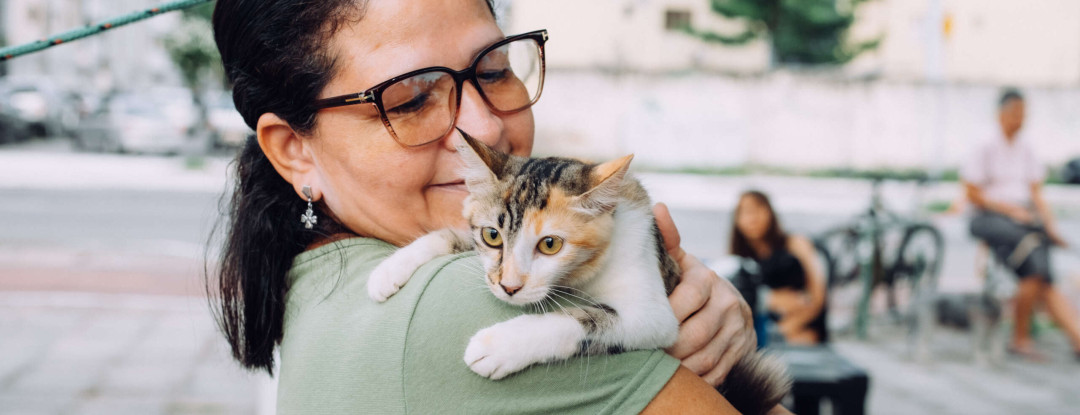Pet Ceará Móvel oferece castração gratuita no bairro Luciano Cavalcante entre 24 e 28 de fevereiro