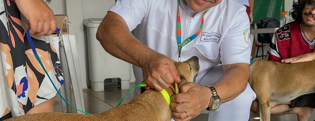 Giro Pet Ceará leva vacinação e encoleiramento antiparasitário para Juazeiro do Norte, Crato e Saboeiro nesta semana