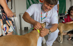 Giro Pet Ceará leva vacinação e encoleiramento antiparasitário para Juazeiro do Norte, Crato e Saboeiro nesta semana