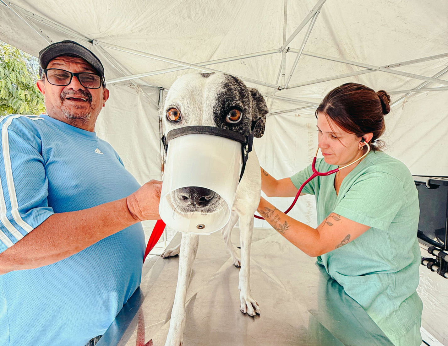Governo do Ceará leva castrações gratuitas de cães e gatos ao Cariri com o Pet Ceará Móvel
