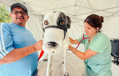 Governo do Ceará leva castrações gratuitas de cães e gatos ao Cariri com o Pet Ceará Móvel