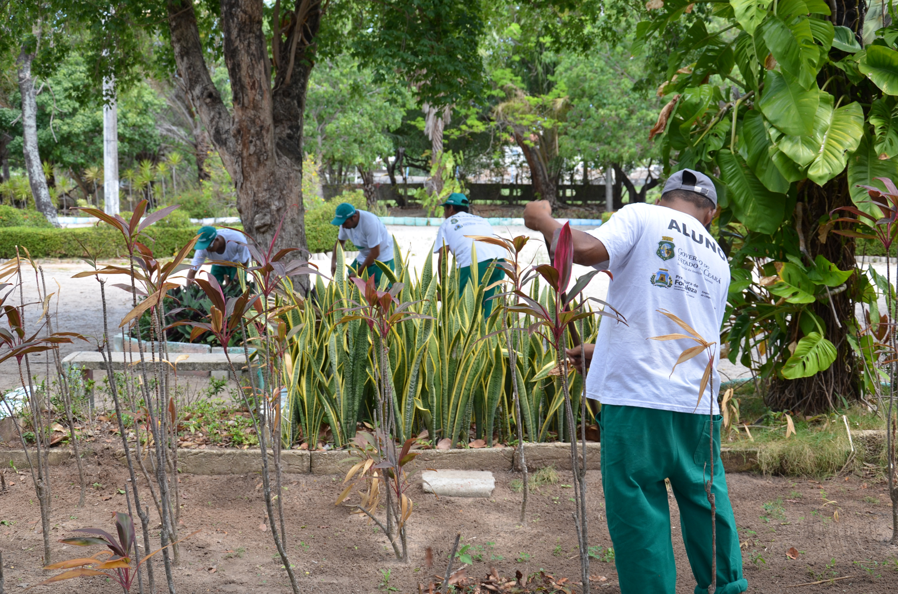 Plantando o Amanhã certifica 26 egressos em curso de jardinagem