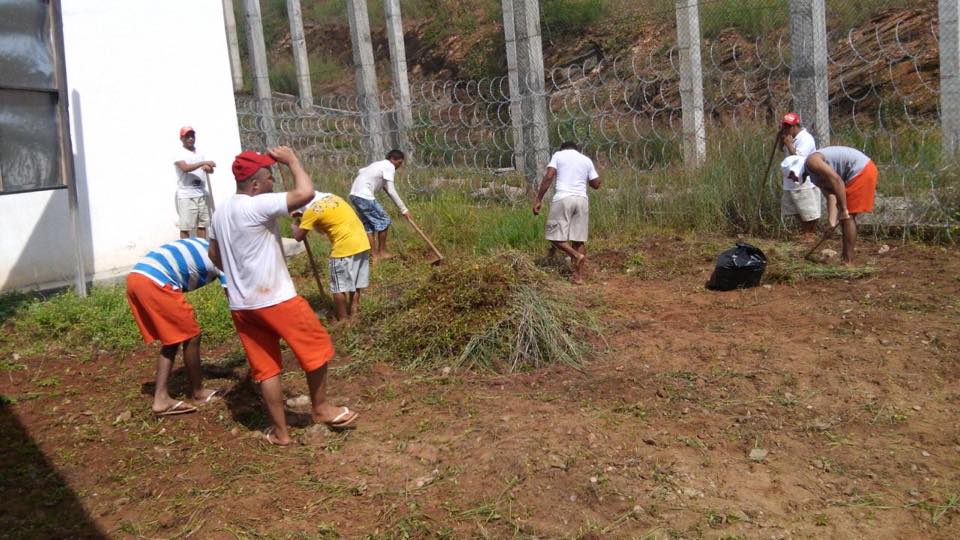 COSIPE REGIONAL DO CARIRI FAZ MUTIRÃO DE LIMPEZA