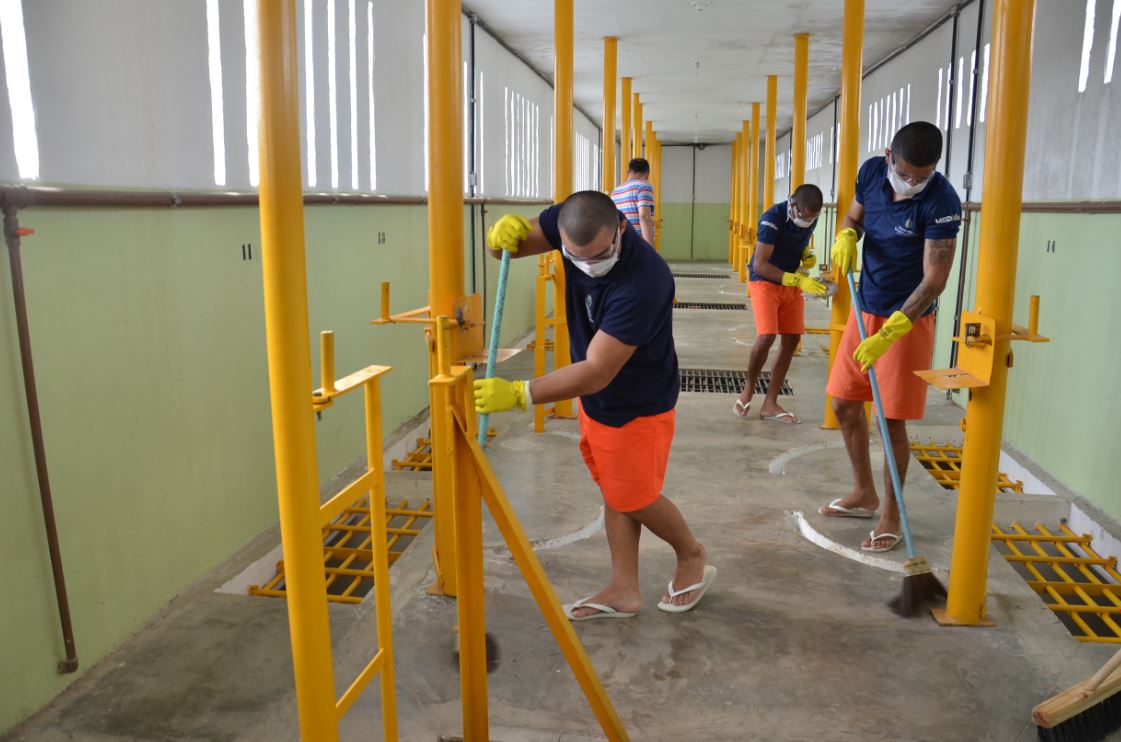 Mais 440 internos serão qualificados com novos cursos do Pronatec