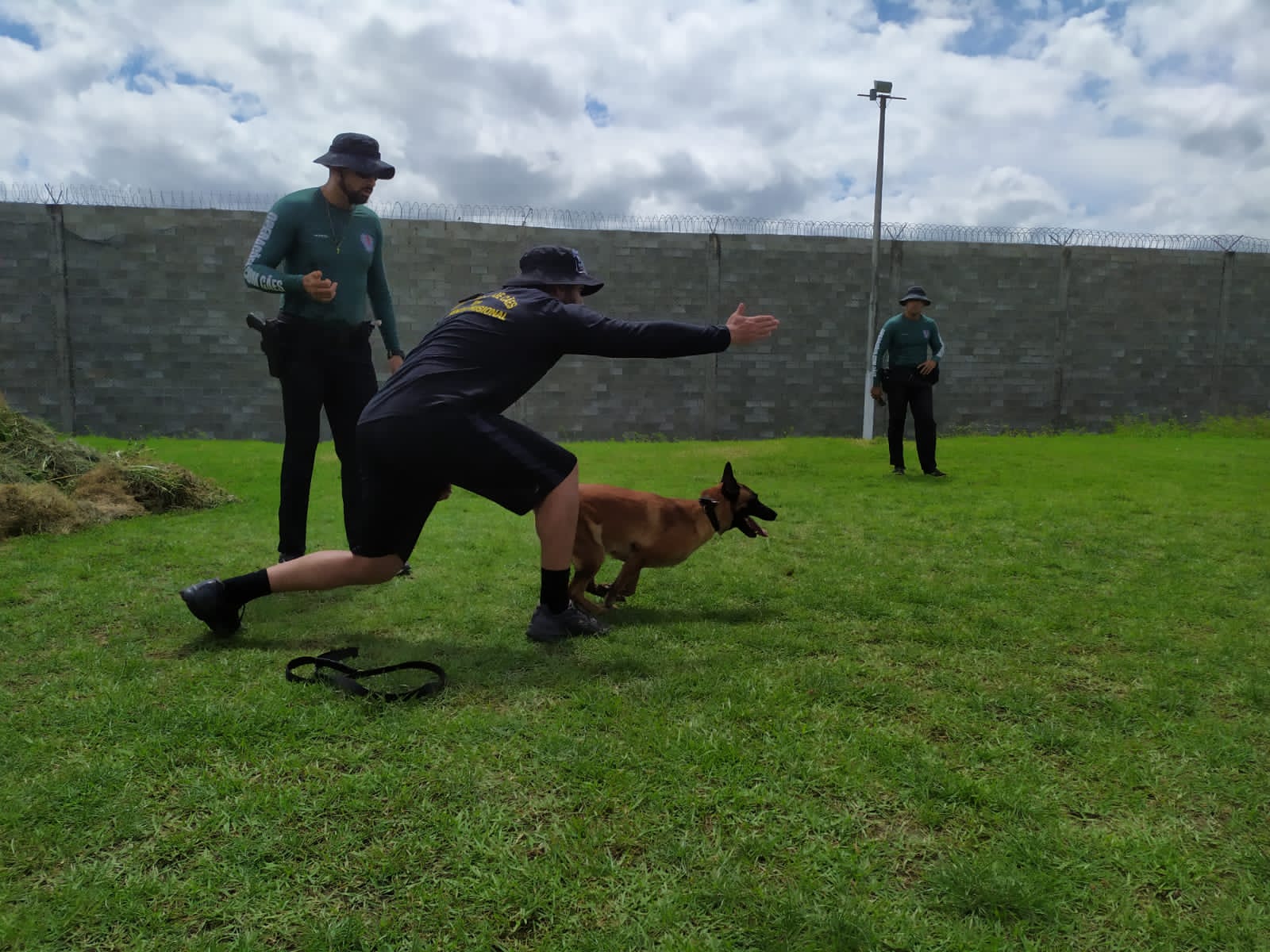 Confira lista dos inscritos deferidos para processo seletivo do I Curso de Operações com Cães em Ambiente Prisional