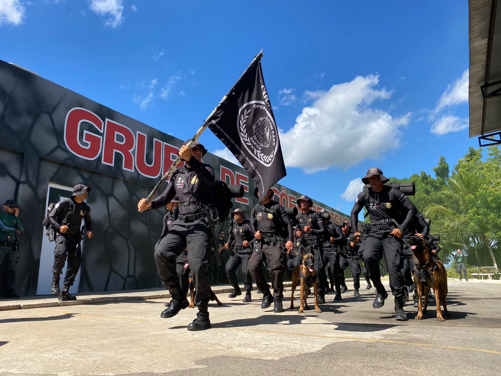 1ª edição do Curso de Operações com Cães em Ambiente Prisional forma 18 novos policiais