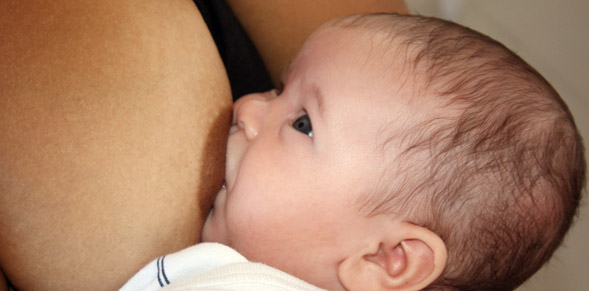 Mães do interior do Estado também podem doar leite materno