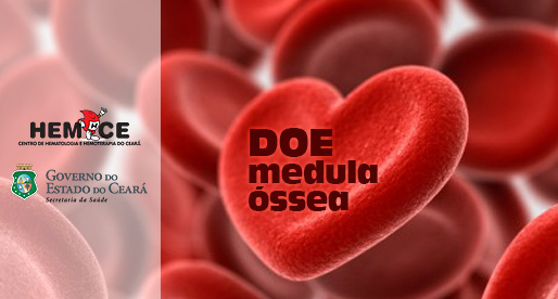 Hemoce ultrapassa os 180 transplantes de medula óssea
