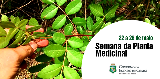 Dia da Planta Medicinal homenageia personalidades do Ceará