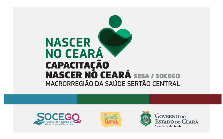 Oficina capacitará profissionais de saúde da Macro Sertão Central
