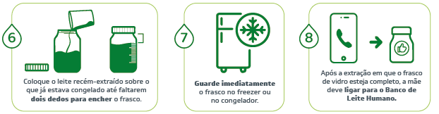 Como armazenar leite materno: 6. Coloque o leite recém-extraído sobre o que já estava congelado até faltarem dois dedos para encher o frasco. 7. Guarde imediatamente o frasco no freezer ou no congelador. 8. Após a extração em que o frasco de vidro esteja completo, a mãe deve ligar para o Banco de Leite Humano.