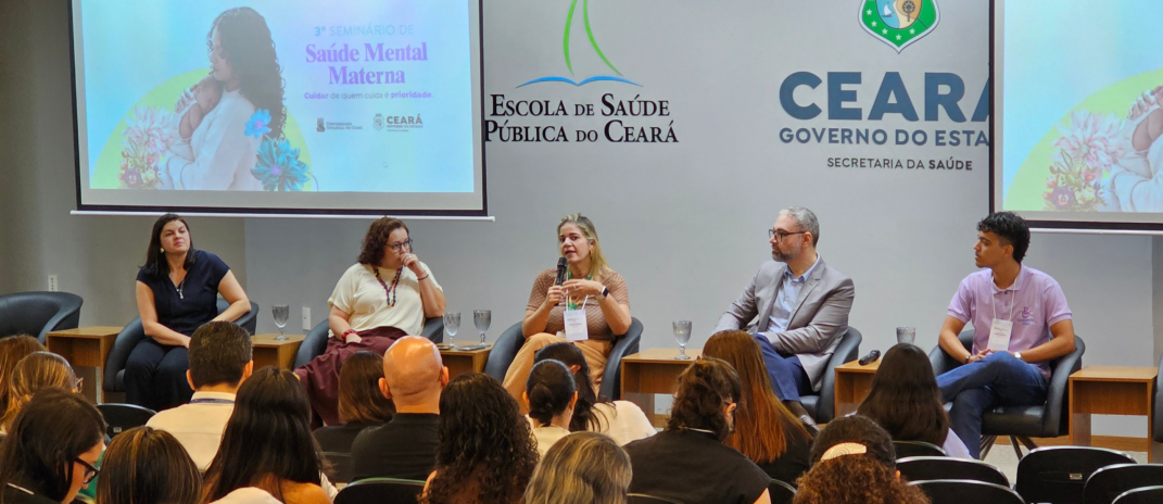 Saúde mental materna mobiliza profissionais e pesquisadores em seminário