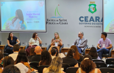 Saúde mental materna mobiliza profissionais e pesquisadores em seminário