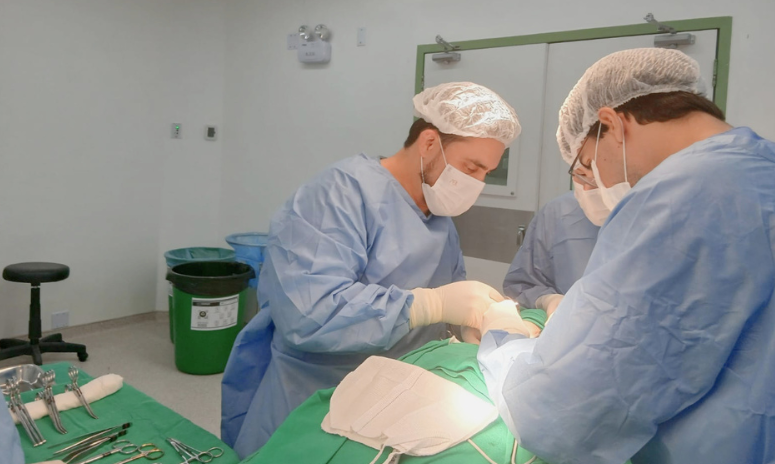 Tireoide: atenção aos sinais e diagnóstico precoce ajudam a evitar complicações
