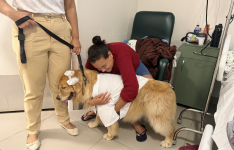 Visita de cães ‘terapeutas’ promove bem-estar entre pacientes da quimioterapia no HUC