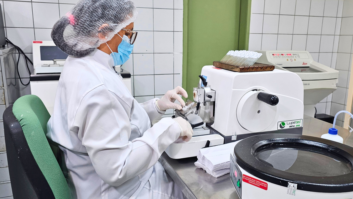 Foto: Reprodução/Secom Ceará