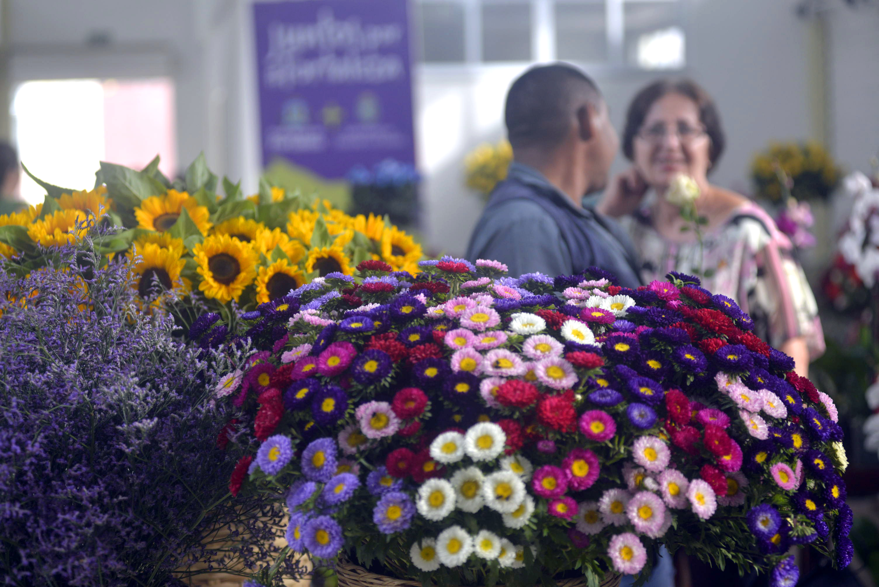Mercado das Flores realiza programação especial no Dia da Mulher