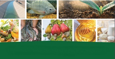Sedet e Adece participam da XXIII PecNordeste 2019