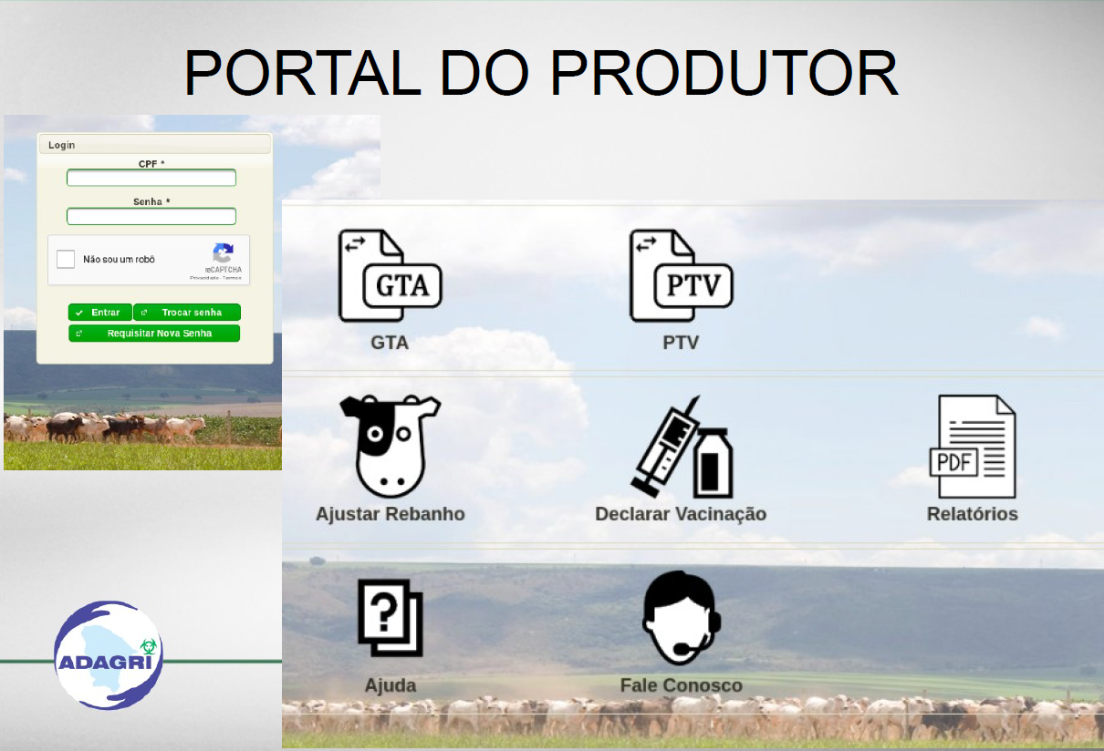Portal do Produtor disponibiliza diversos serviços com agilidade