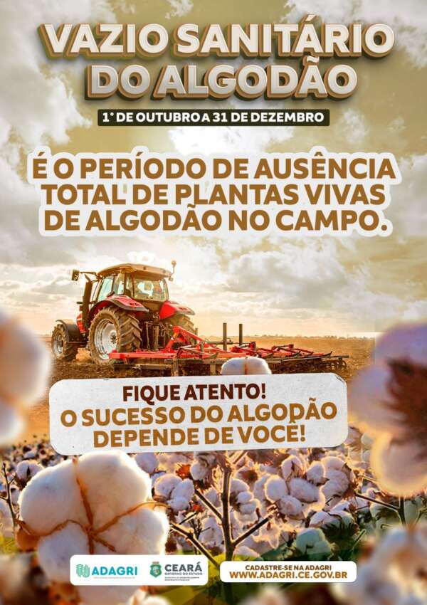 Vazio Sanitário do Algodão segue no Ceará até o dia 31 de dezembro