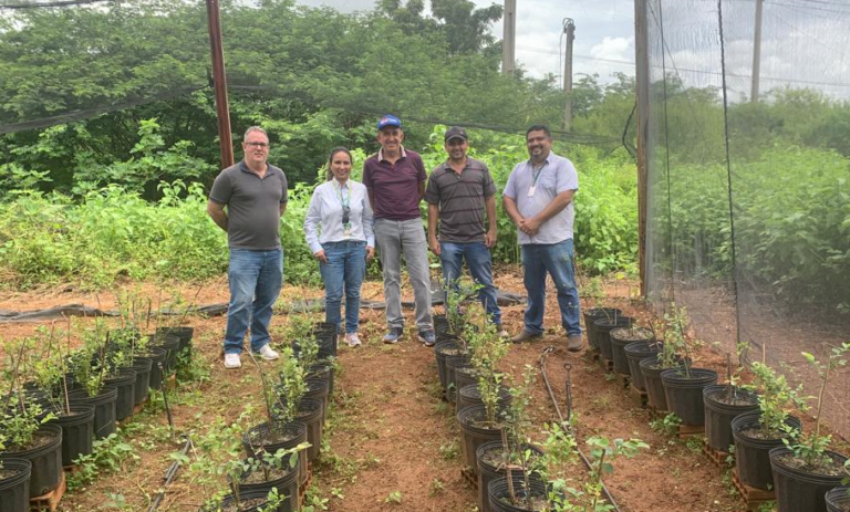 Adece realiza visitas técnicas a cultivos de figo, mirtilo e café no interior do Ceará
