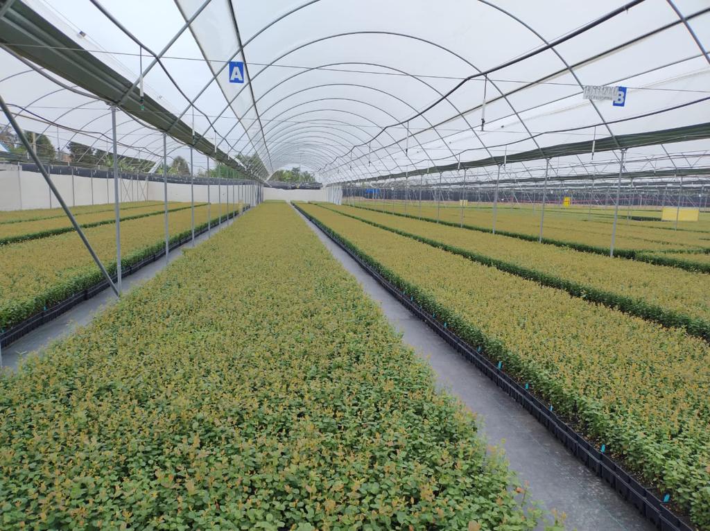 Produtores do Peru demonstram interesse em investir no Ceará
