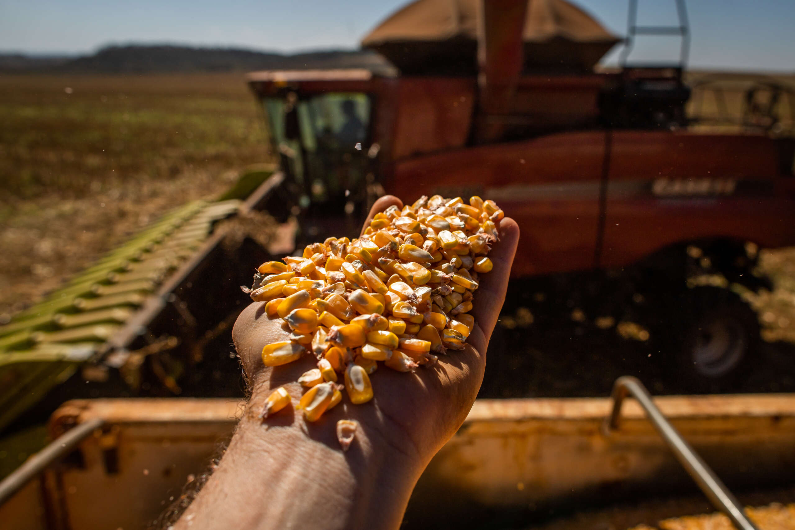 Região do Inhamuns: Adece disponibiliza galpão para atender a distribuição de grãos para pequenos produtores