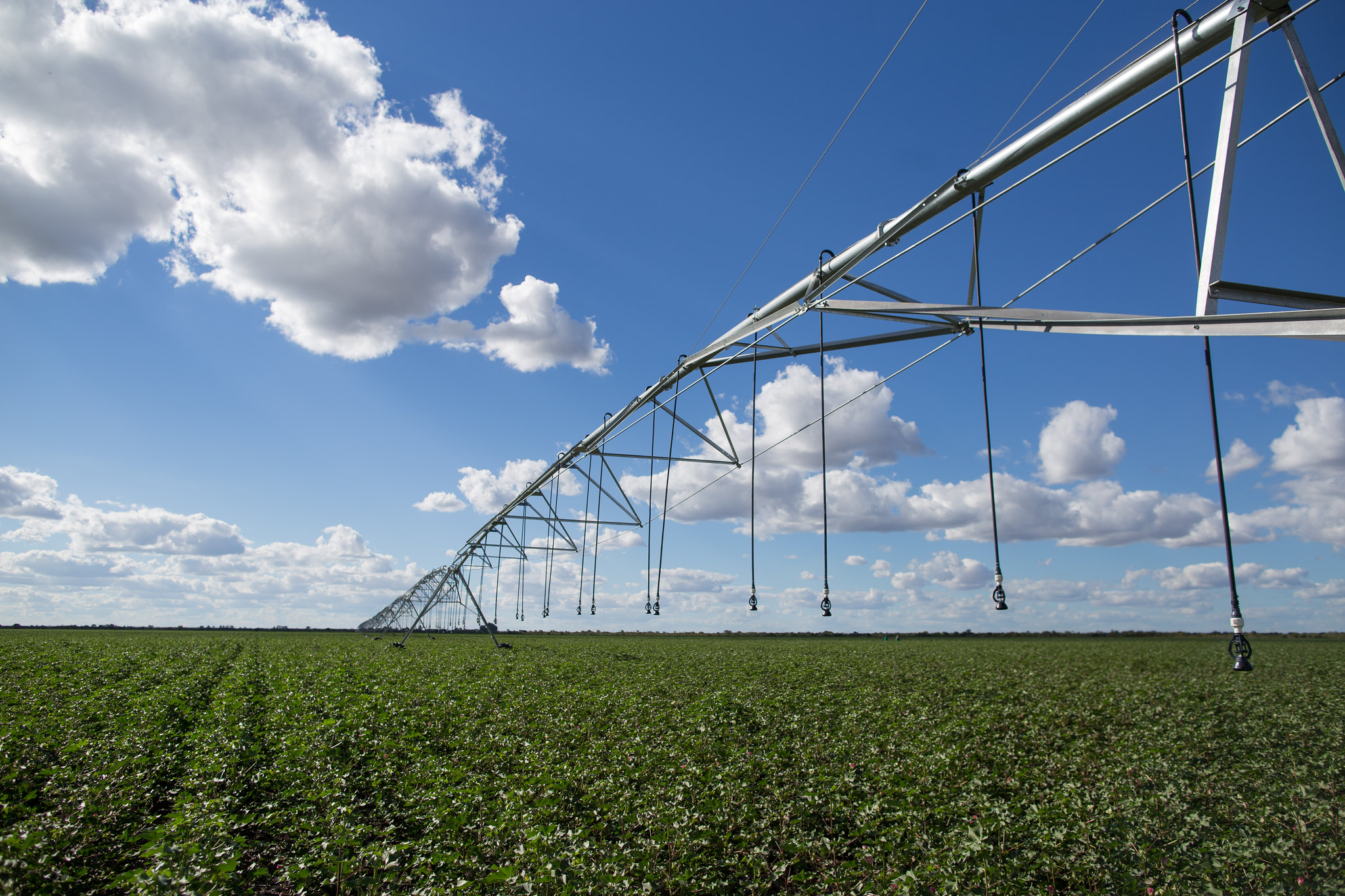 Comitiva de produtores rurais de Montes Claros visita o Ceará para conhecer gestão hídrica e agronegócio local