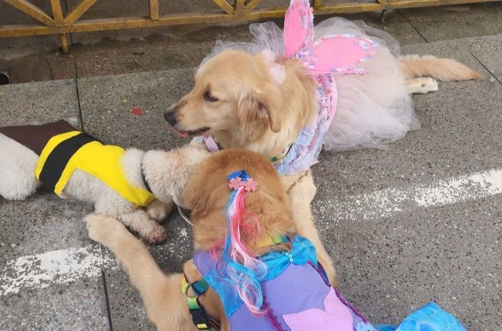 Pets de estimação levam carinho e diversão aos adolescentes do CS Antônio Bezerra