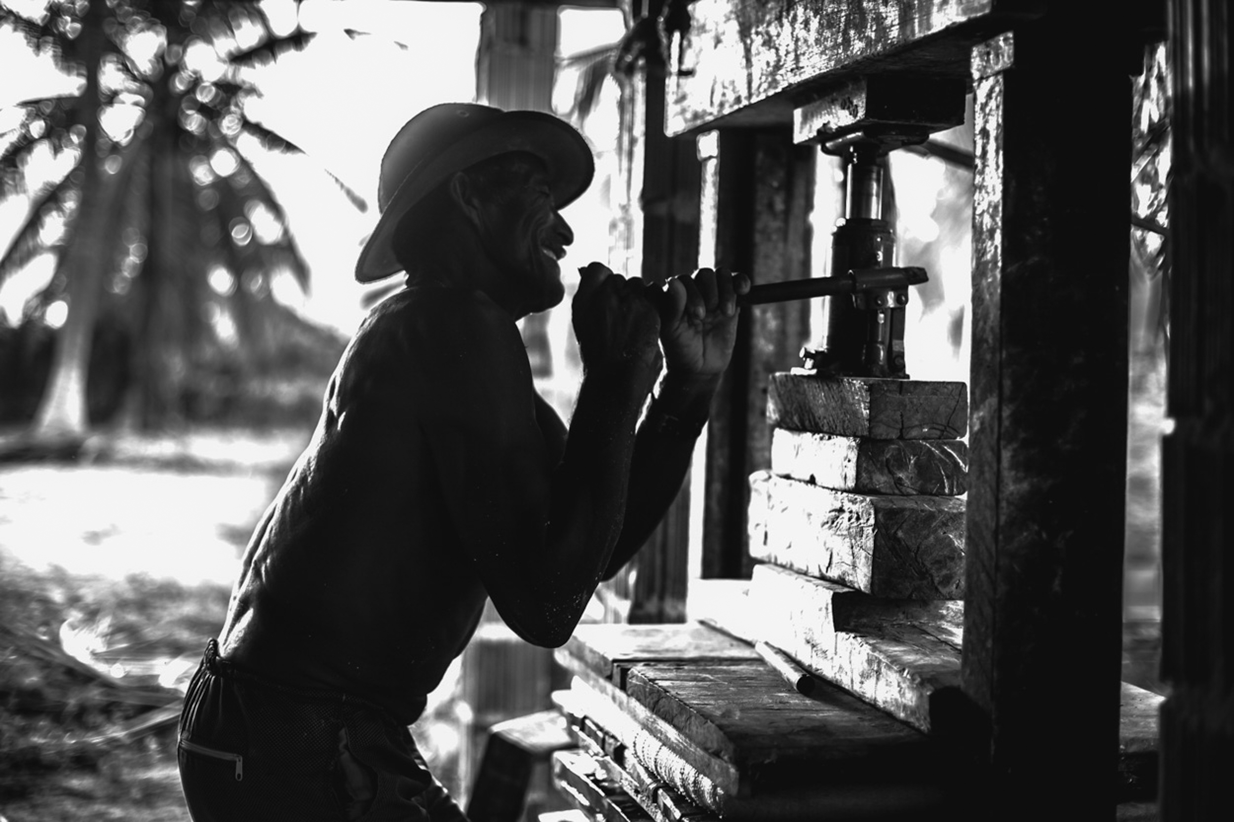 Cineteatro São Luiz recebe exposição online “Casa de Mani” de Henrique Kardozo