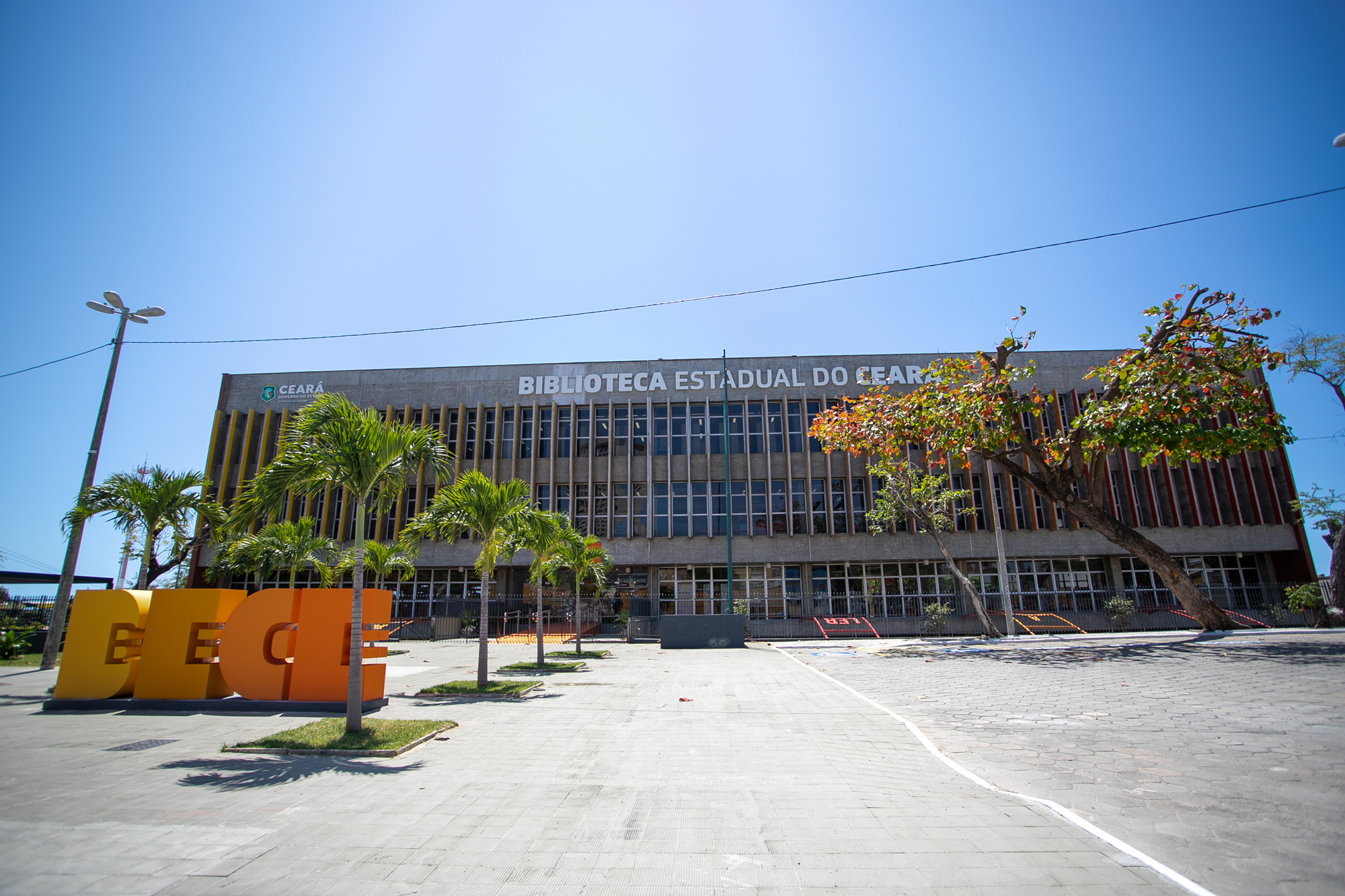 Bece celebra o Dia da Pessoa Bibliotecária com programação especial