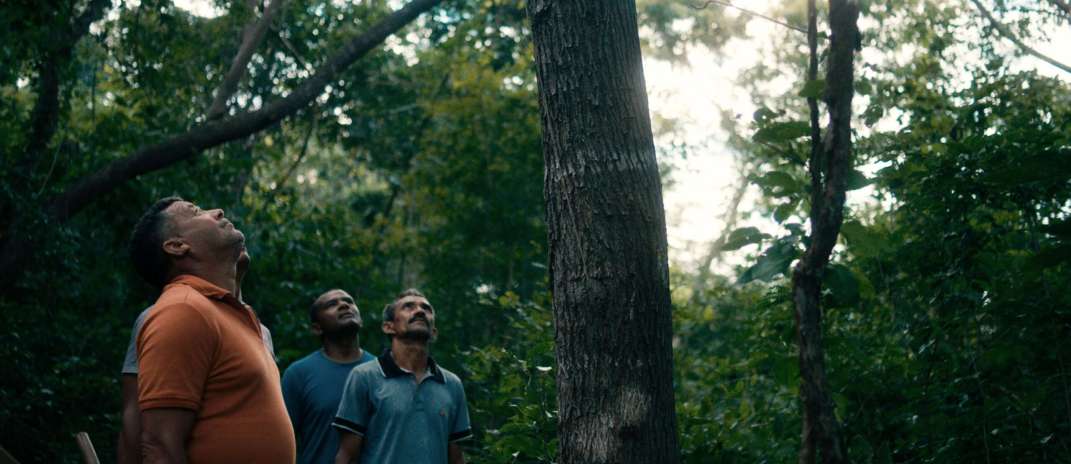 Com apoio da Secult, documentário “O Cio da Terra” estreia no 31º Festival É Tudo Verdade