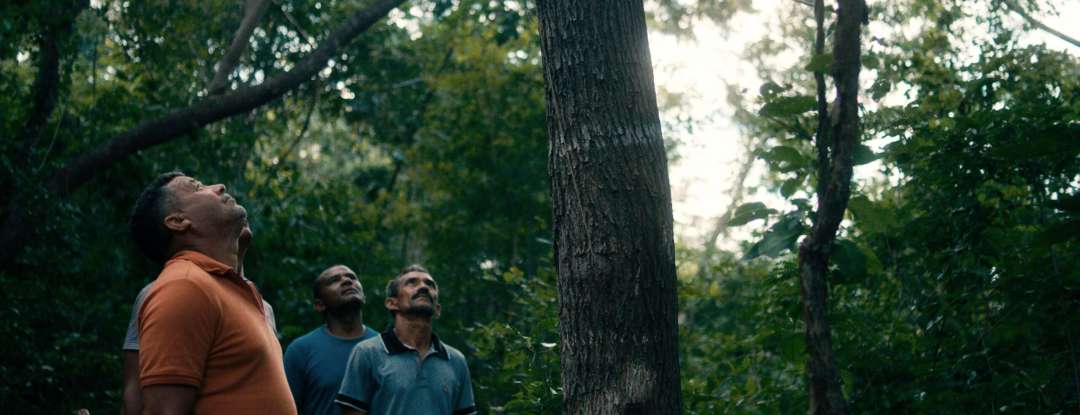 Com apoio da Secult, documentário “O Cio da Terra” estreia no 31º Festival É Tudo Verdade