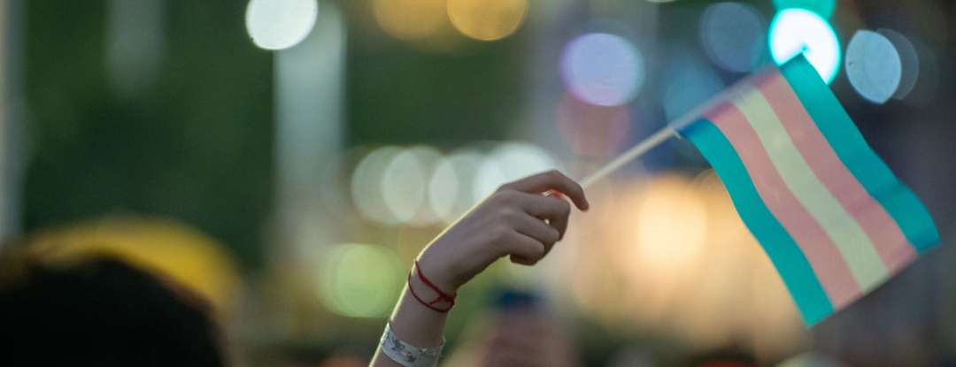 Marcha Transnordestina e Festa Lá em Cima movimentam a Estação das Artes neste fim de semana