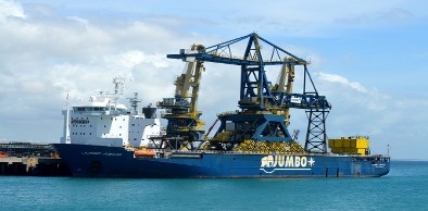 Descarregador de Minério de Ferro chega ao Porto do Pecém