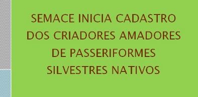 Semace inicia cadastro de criadores de passeriformes silvestres nativos