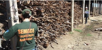 Semace realiza operação relacionada à venda e uso de produtos florestais