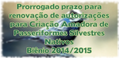 Prorrogado o prazo para a renovação das Autorizações para a atividade de Criação Amadora de Passeriformes Silvestres Nativos
