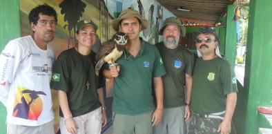 Semace entrega aves mutiladas no Ceará a centro especializado de Sergipe