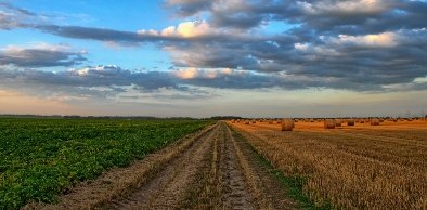 Nova regra para o licenciamento ambiental de atividades agropecuárias no Ceará já está valendo