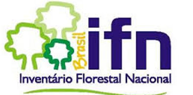 Artigo do superintendente da Semace explica inventário florestal do Ceará