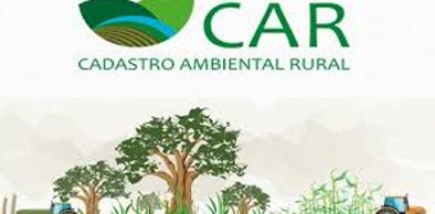Mais de 11.000 imóveis inseridos no Cadastro Ambiental Rural no Ceará