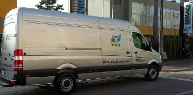 Cinco jiboias serão devolvidas à natureza