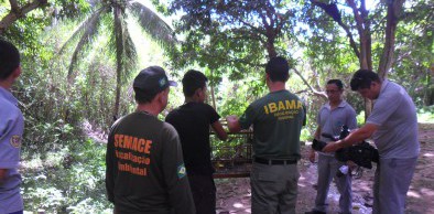 77 animais silvestres são devolvidos à natureza em ação conjunta da Semace e Ibama