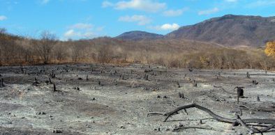Semace orienta municípios contra desmatamento e queimadas